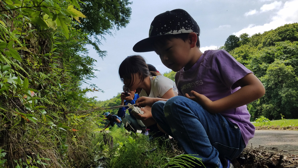 20180602_100828.jpg