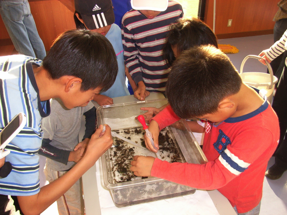rimg0084.jpg