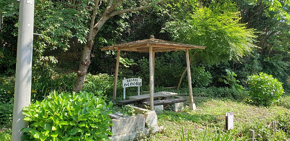 20190530_140526.jpg
